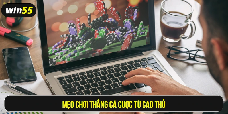 Mẹo chơi thắng cá cược từ cao thủ