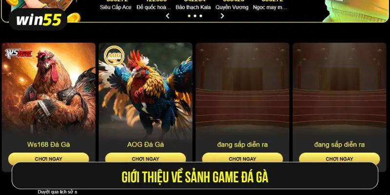 Giới thiệu về sảnh game đá gà tại Win55
