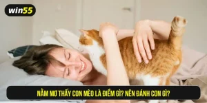 Nằm mơ thấy con mèo