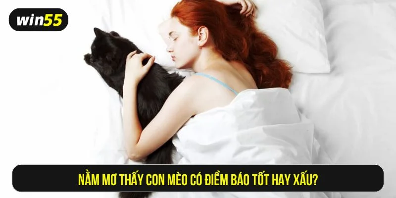 Nằm mơ thấy con mèo thường mang điềm báo phong thủy