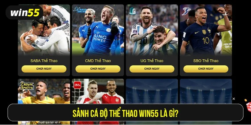 Nâng tầm cùng trải nghiệm cá độ thể thao Win55