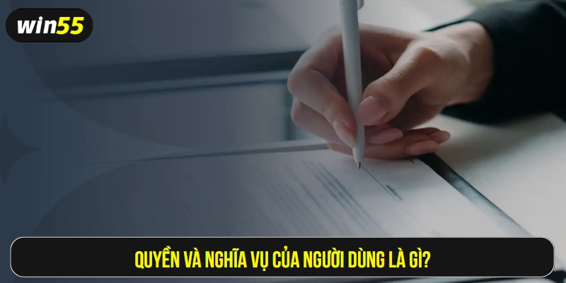 Quyền và nghĩa vụ của người dùng là gì?