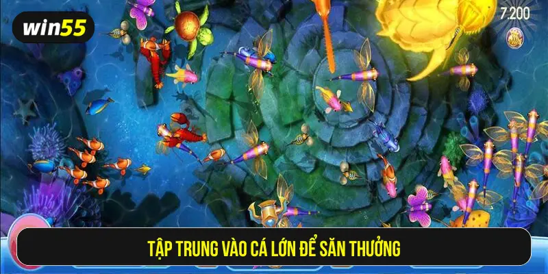 Tập trung vào cá lớn để săn thưởng