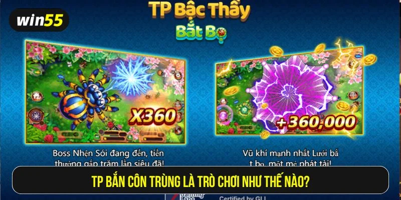 TP bắn côn trùng được thiết kế với đồ họa 3D sắc nét