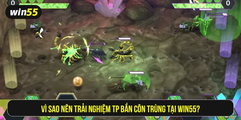 TP bắn côn trùng Win55 có giao diện mượt, chơi tốt trên mọi thiết bị