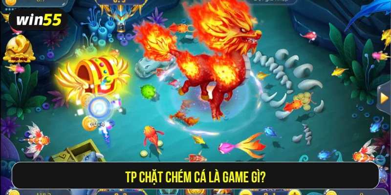 TP chặt chém cá tại Win55 đảm bảo trải nghiệm mượt mà