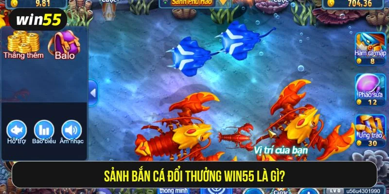 Trải nghiệm độc đáo khi tham gia bắn cá đổi thưởng win55